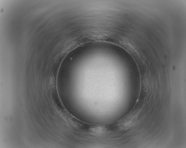 X0000064740079200602171718