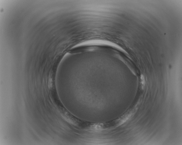 X0000064740080200602171718