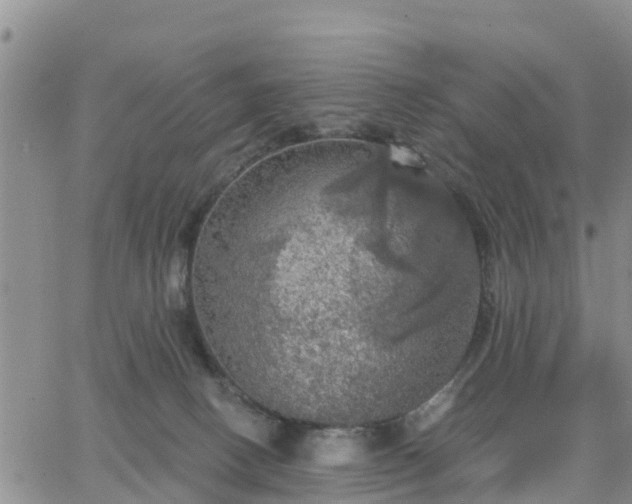 X0000064740082200602171718