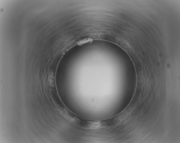 X0000064740083200602171718