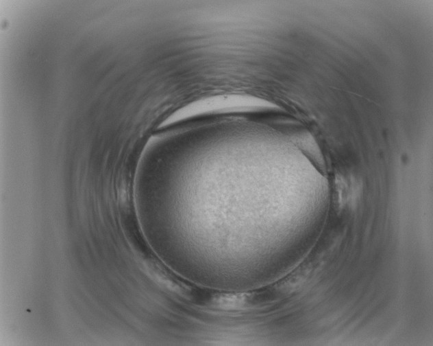 X0000064740084200602171718