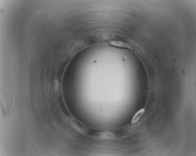 X0000064740087200602171718