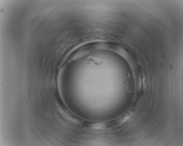 X0000064740088200602171718