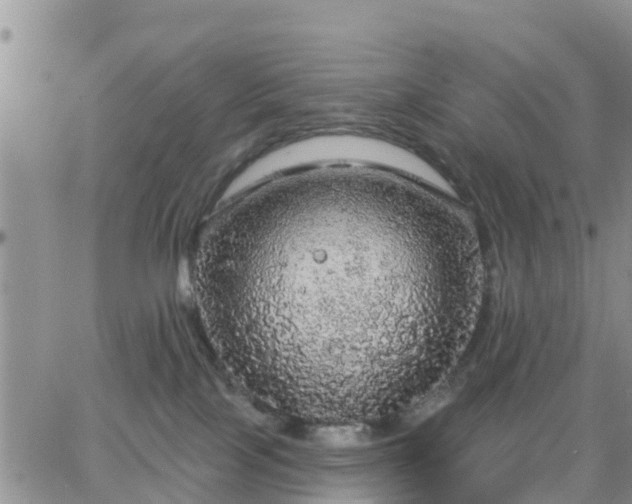 X0000064740089200602171718