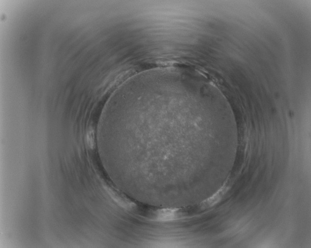 X0000064740090200602171718