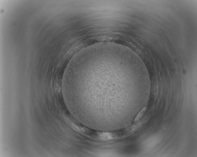 X0000064740091200602171718