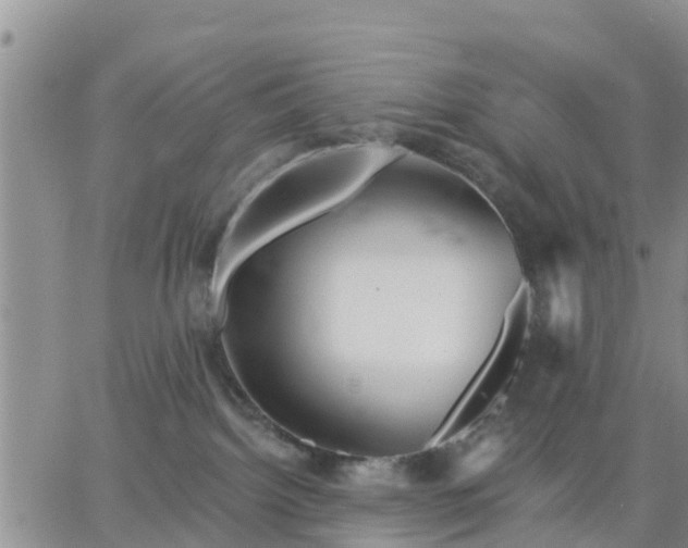 X0000064740092200602171718