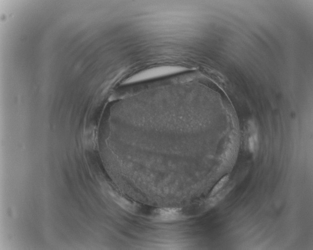 X0000064740093200602171718