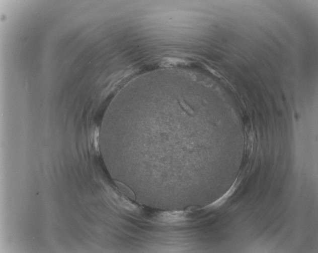 X0000064740094200602171718