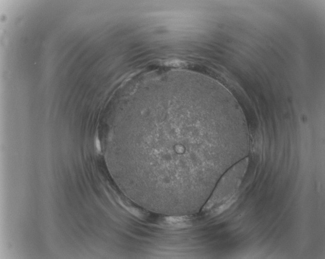 X0000064740095200602171718