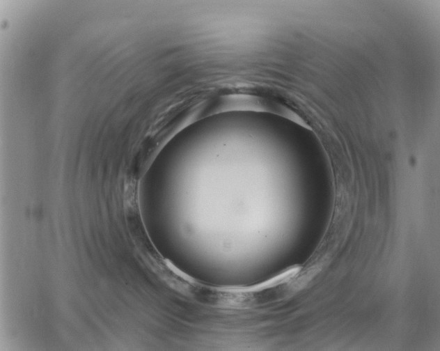 X0000064740096200602171718