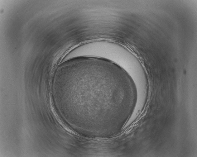 X0000064740097200602171718