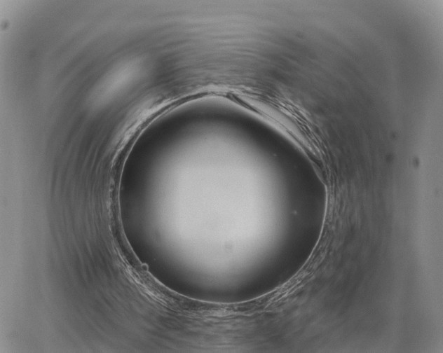 X0000064740098200602171718