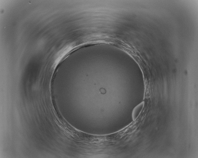 X0000064740099200602171718