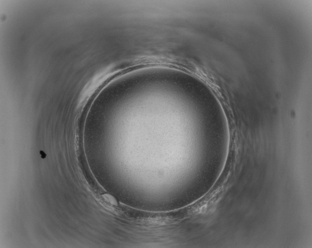 X0000064740103200602171717