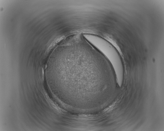 X0000064740109200602171717