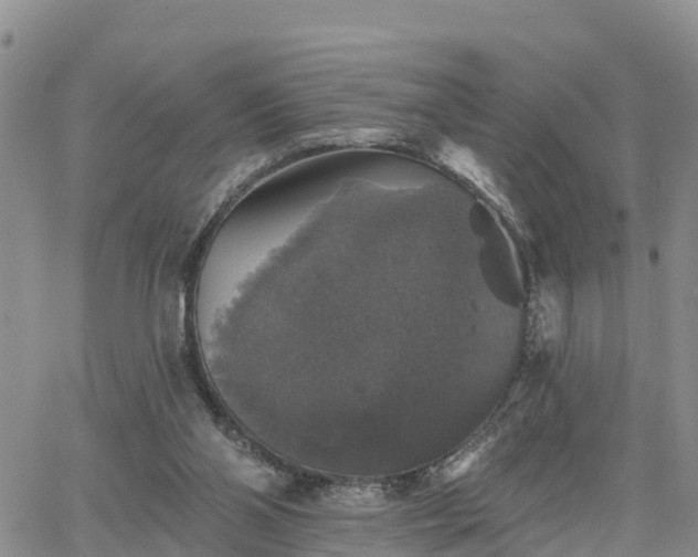 X0000064740110200602171717