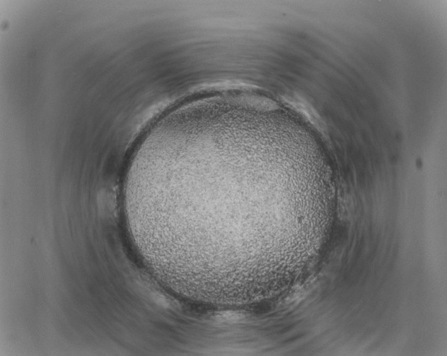 X0000064740111200602171717