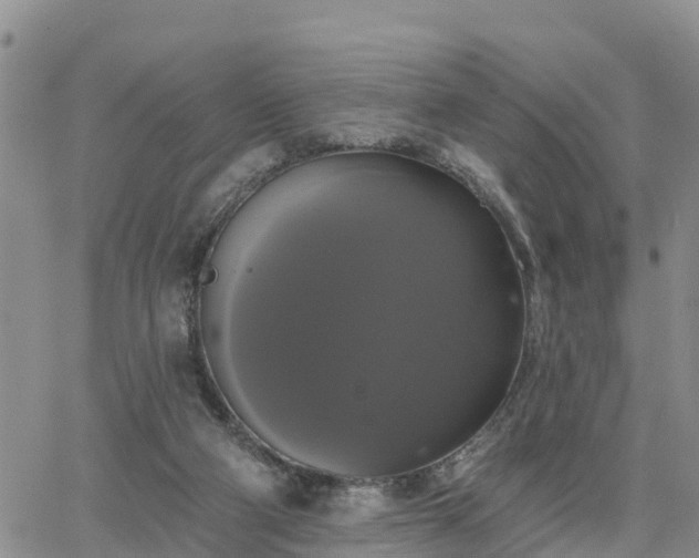 X0000064740114200602171717