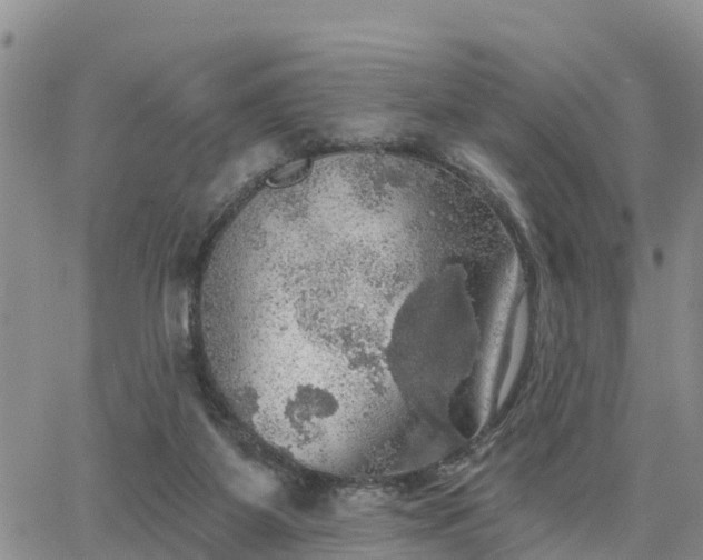 X0000064740115200602171717