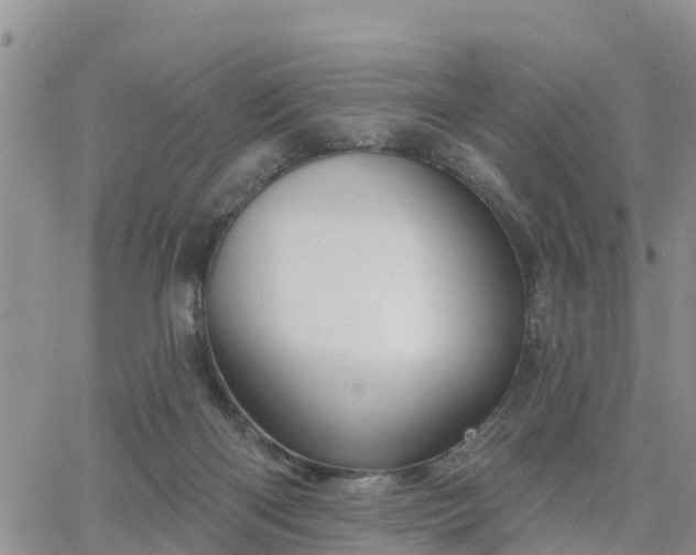 X0000064740122200602171717