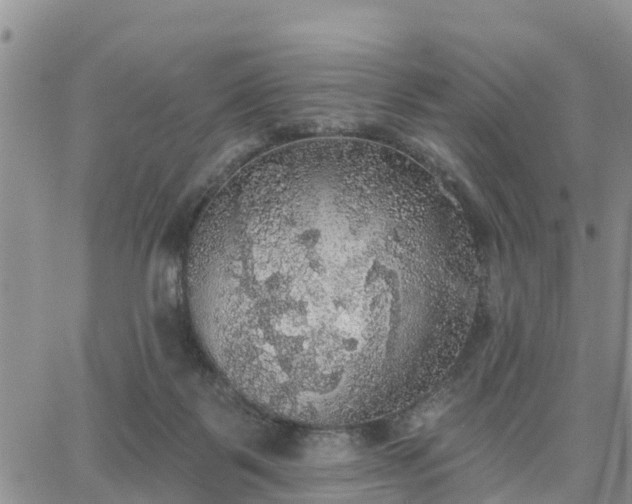 X0000064740123200602171717