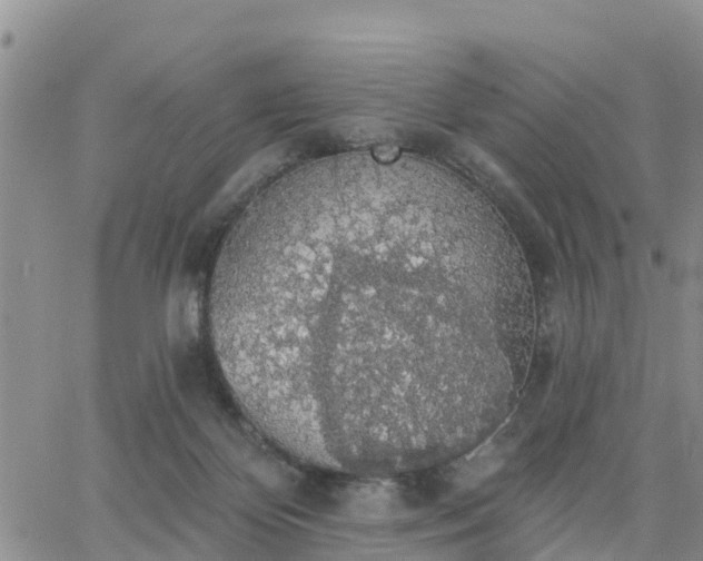 X0000064740124200602171717