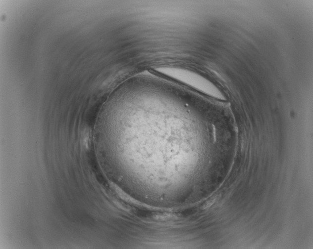 X0000064740125200602171717