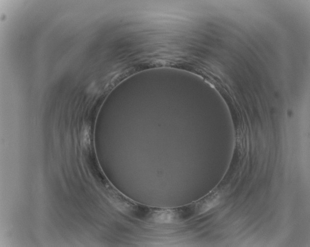 X0000064740127200602171717