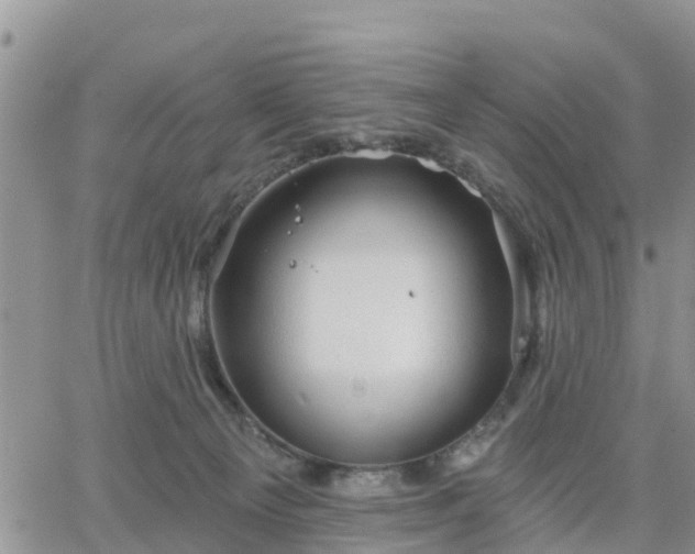 X0000064740129200602171717