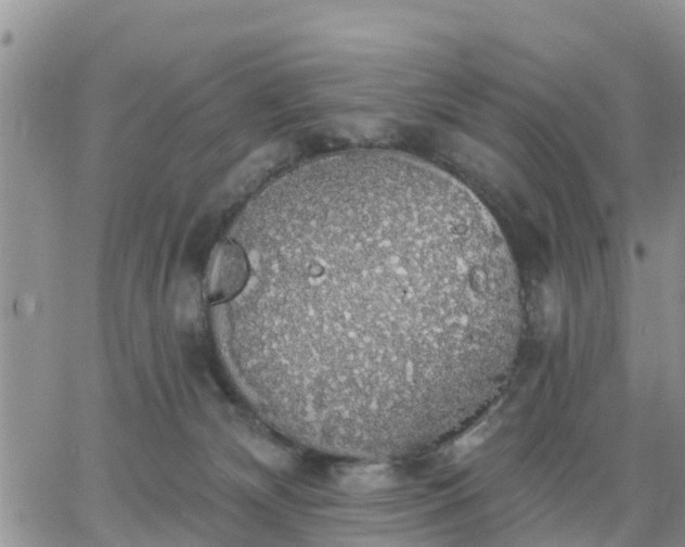 X0000064740132200602171717