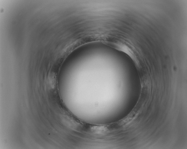 X0000064740133200602171717