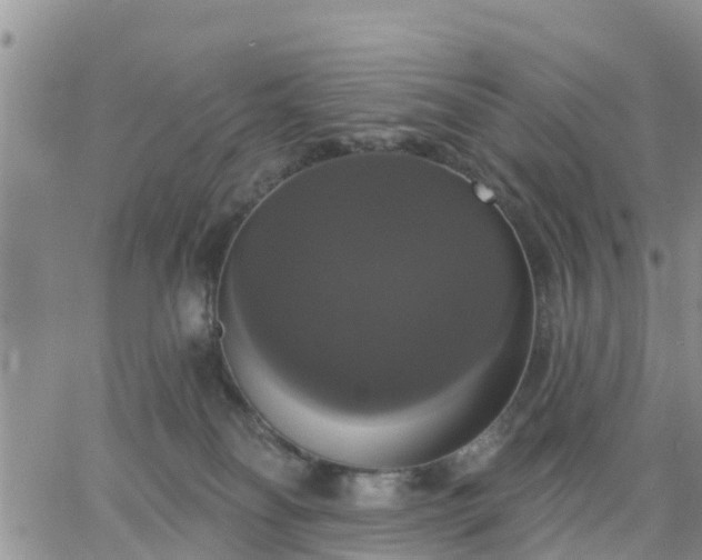 X0000064740134200602171717