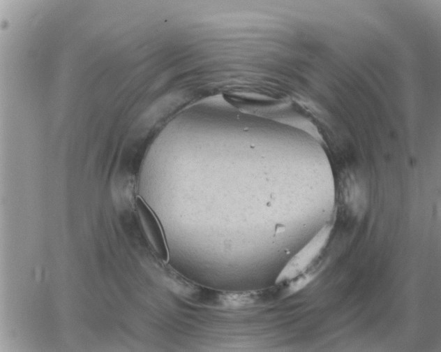 X0000064740141200602171717