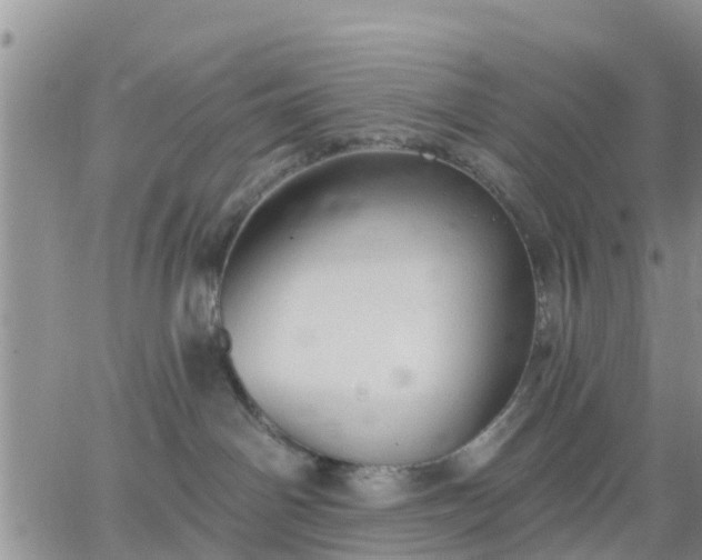 X0000064740142200602171717