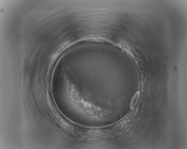 X0000064740145200602171716