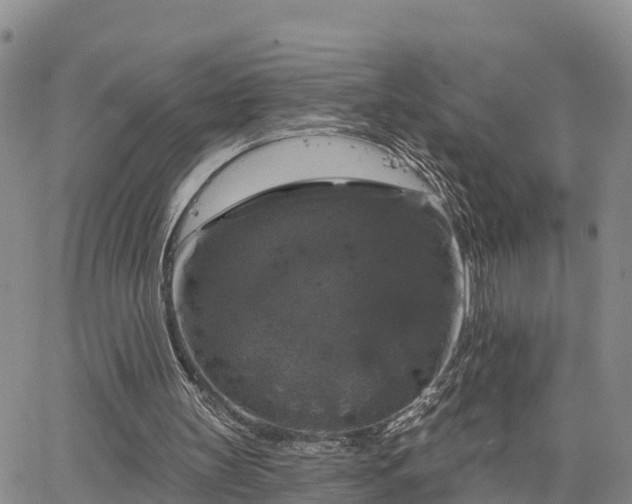 X0000064740147200602171716