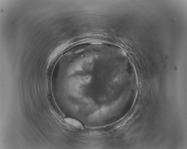 X0000064740149200602171716