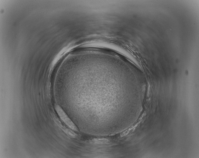 X0000064740150200602171716