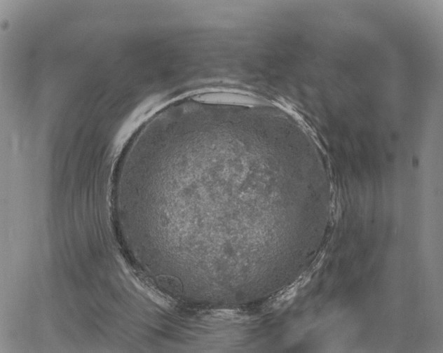 X0000064740151200602171716