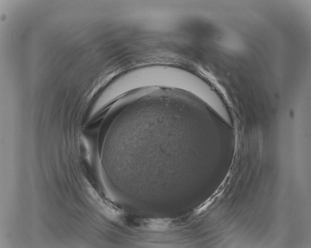 X0000064740154200602171716