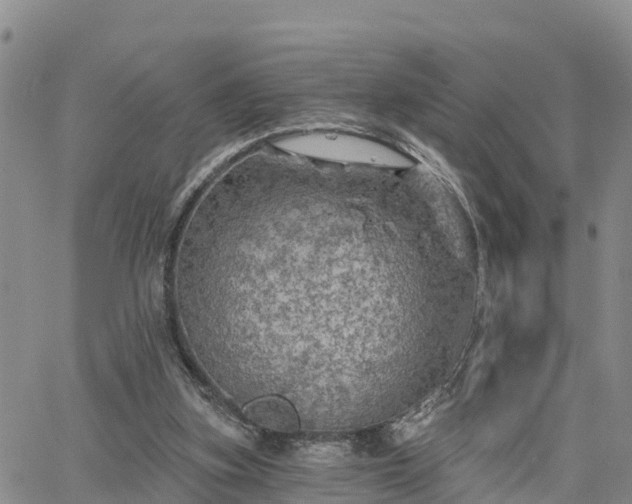 X0000064740155200602171716