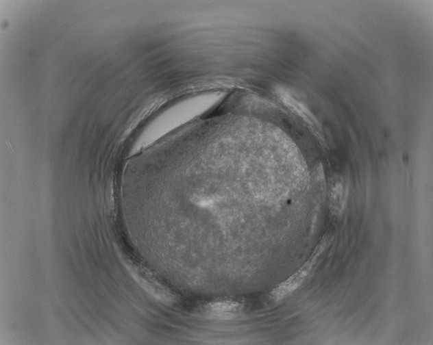 X0000064740158200602171716