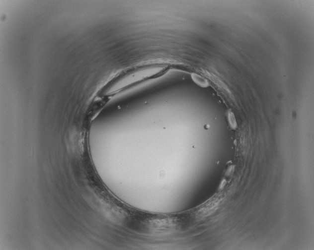 X0000064740160200602171716