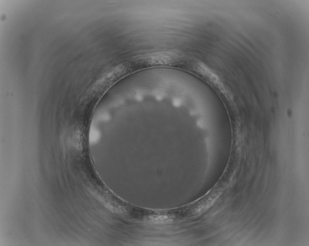 X0000064740161200602171716