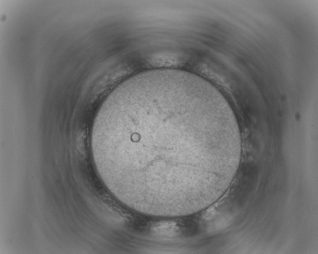 X0000064740162200602171716