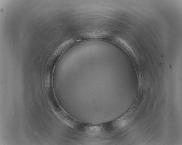 X0000064740163200602171716