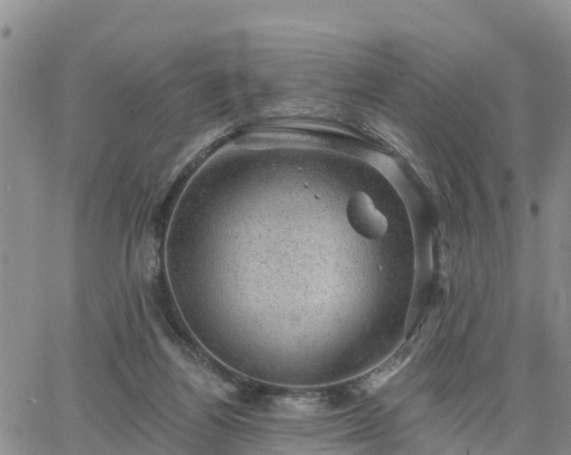 X0000064740164200602171716