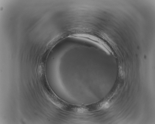 X0000064740165200602171716