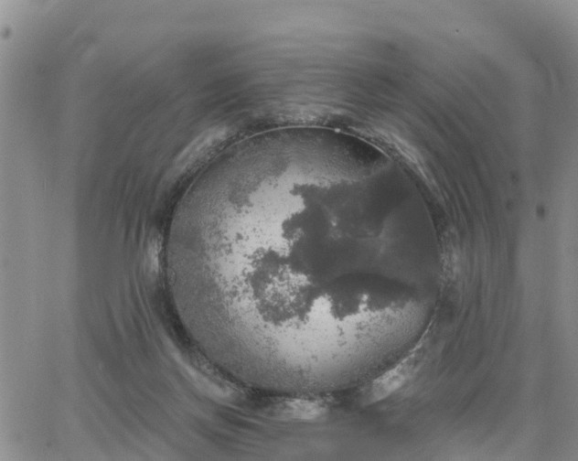 X0000064740166200602171716